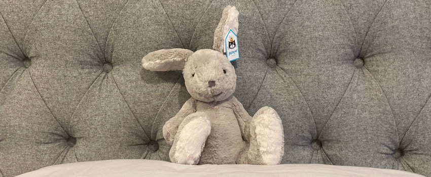 Jellycat Nibbs Bunny - New for 2021
