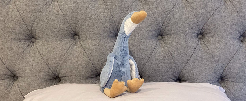 Jellycat Daisy Runner Duck NEW 2021